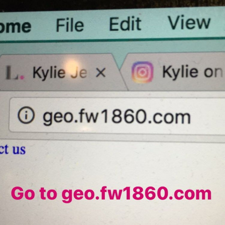 Go to geo.fw1860.com, the manufacturer's authenticity checking site
